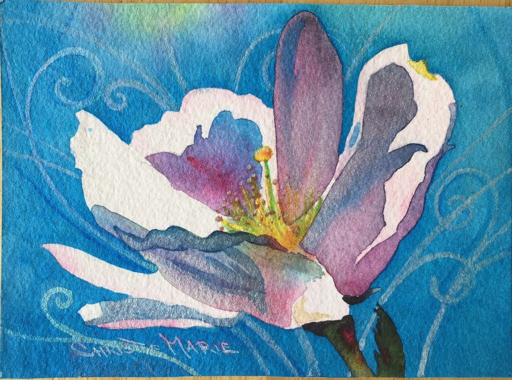 1024x760 Framed Original Watercolor Painting Cherry Blossom Flower Art 5 X - Cherry Blossom Flower Painting