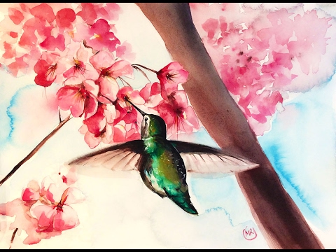 480x360 Watercolor Hummingbird And Cherry Blossom Flowers Painting - Cherry Blossom Flower Painting