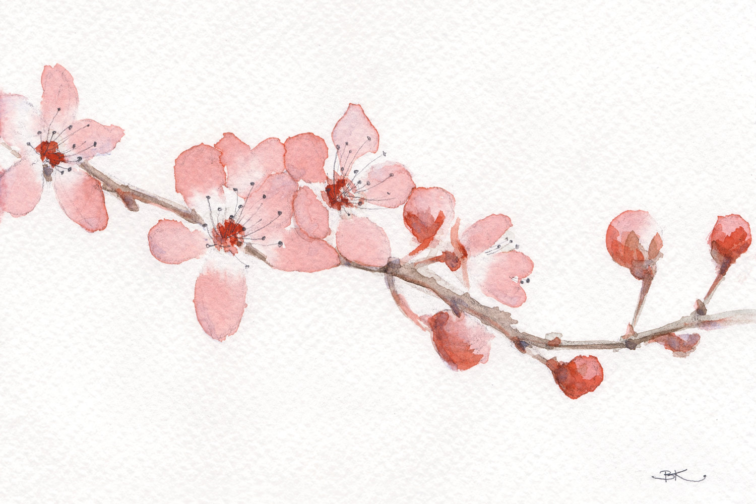 1500x1000 Aquarelle Painting Art Print Cherry Blossom Flower Modern - Cherry Blossom Flower Painting