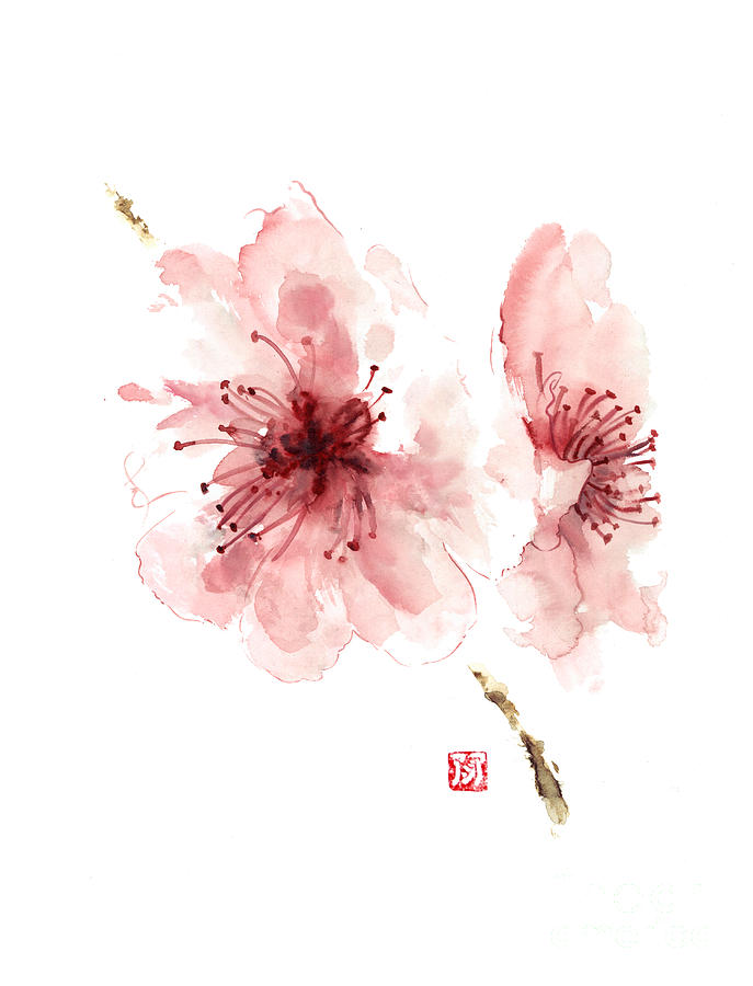687x900 Cherry Blossom Art Print Watercolor Painting Japanese Flowers - Cherry Blossom Flower Painting