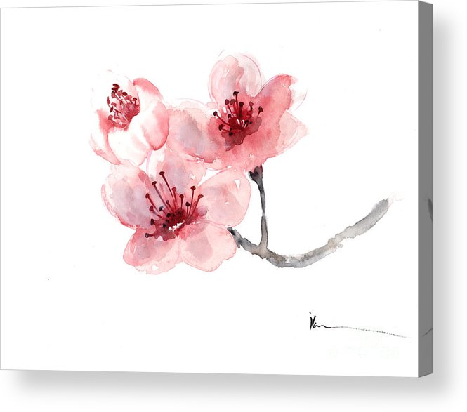 665x587 Cherry Blossom Flower Watercolor Art Print Painting Acrylic Print - Cherry Blossom Flower Painting