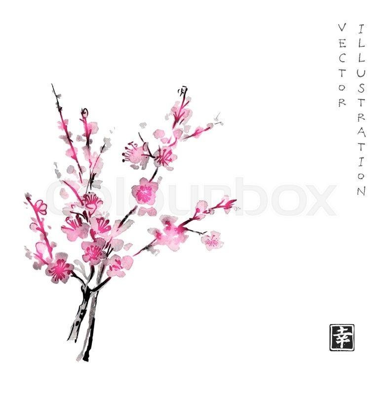 792x800 Oriental Cherry Branch Blossom. Sakura Hand Drawn - Cherry Blossom Tree Ink Painting