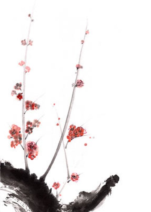 500x700 Sakura Cherry Blossom Orange Pink Red Flowers Tree Watercolor - Cherry Blossom Tree Ink Painting