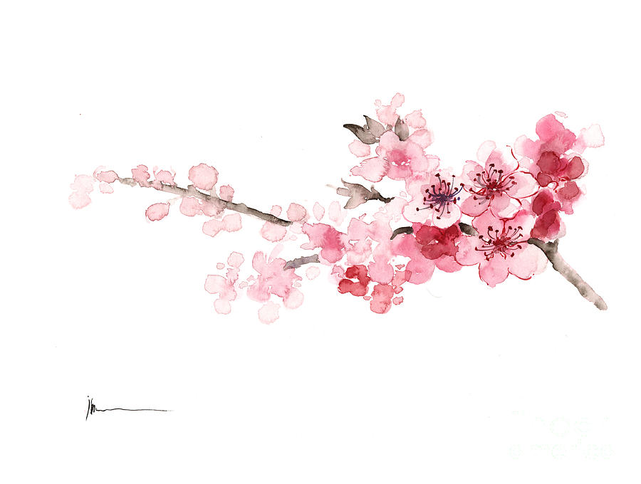 900x680 Cherry Blossom Watercolor Art Fine Art America - Cherry Blossom Tree Ink Painting