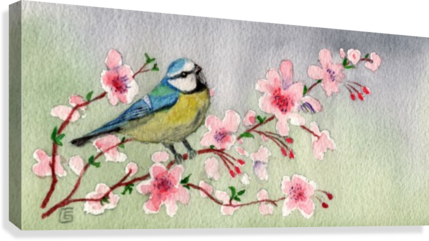 429x241 Blue Tit Bird On Cherry Blossom Tree - Cherry Blossom Tree Painting On Canvas