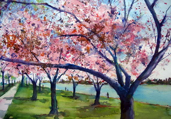 571x400 Cherry Blossoms Joe Cibere Watercolor Blog - Cherry Blossom Tree Watercolor Painting