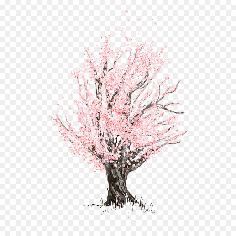 900x900 Cherry Blossom Drawing Watercolor Painting - Cherry Blossom Tree Watercolor Painting