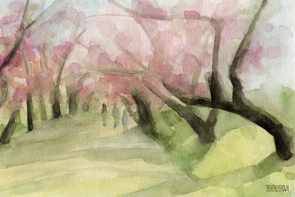 600x400 Watercolor Painting Of Cherry Blossom Trees In Central Park Nyc - Cherry Blossom Tree Watercolor Painting