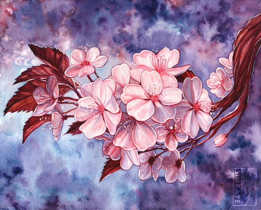 Cherry Blossom Watercolour By Simkaye - Cherry Blossom Watercolor Painting....