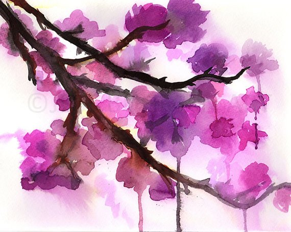 570x456 Cherry Blossoms Watercolor Painting Print Cherry Blossoms - Cherry Blossom Watercolor Painting