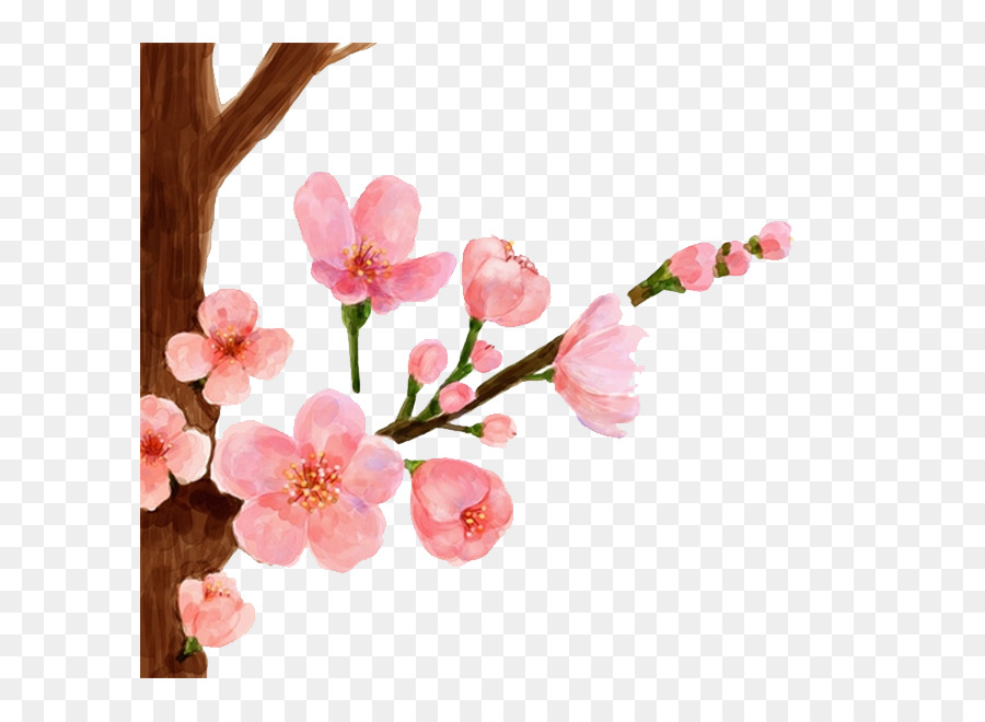 900x660 Cherry Blossom Watercolor Painting Spring Peach Blossom - Cherry Blossom Watercolor Painting