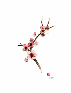 229x300 Spring Gift Flowers Pink Sakura Purple Brown Bloom From Cherry - Cherry Blossom Watercolor Painting
