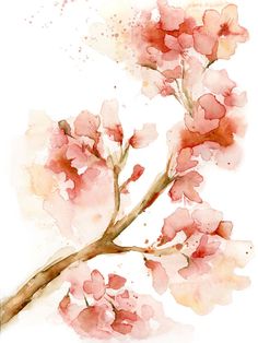 236x314 Watercolor Hummingbird And Cherry Blossom Ii Painting - Cherry Blossom Watercolor Painting