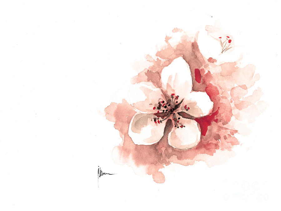 900x676 Cherry Blossom Watercolor Art Print Painting Sakura Painting By - Cherry Blossom Watercolor Painting