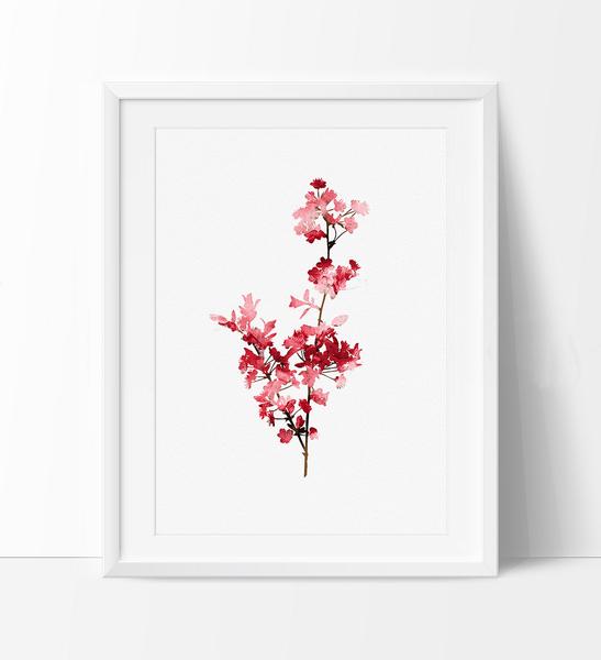 547x600 Cherry Blossom Watercolor Painting, Cherryblossom Art Print , Tree - Cherry Blossom Watercolor Painting