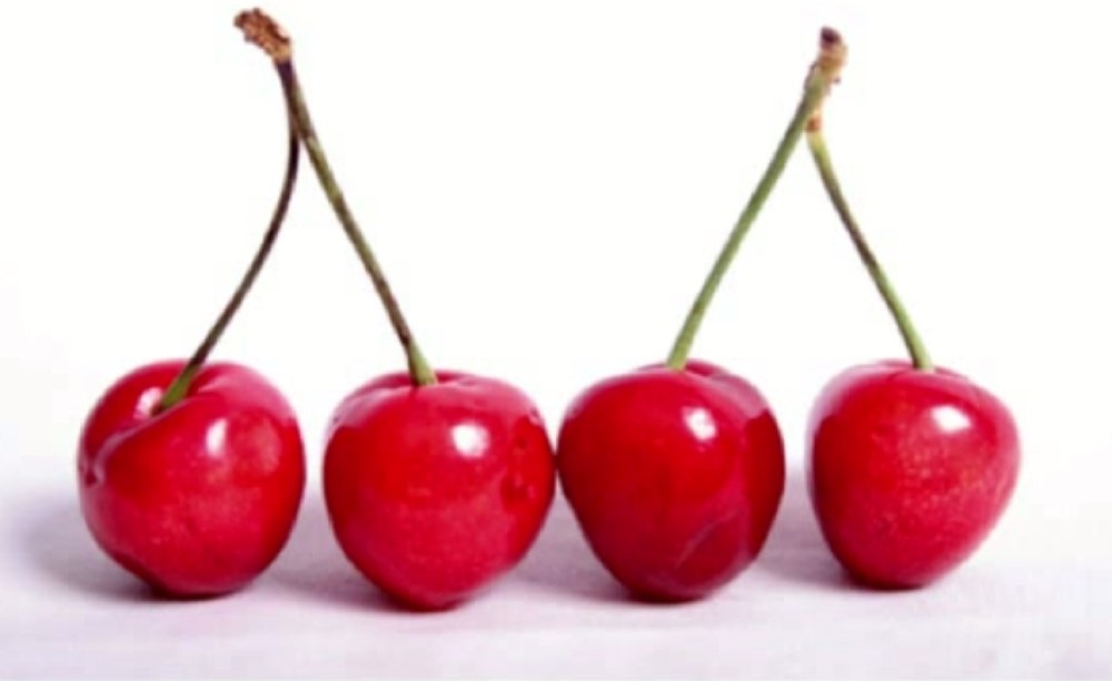 1000x613 How To Paint Juicy Cherries In Oils Online Art Lessons - Cherry Painting