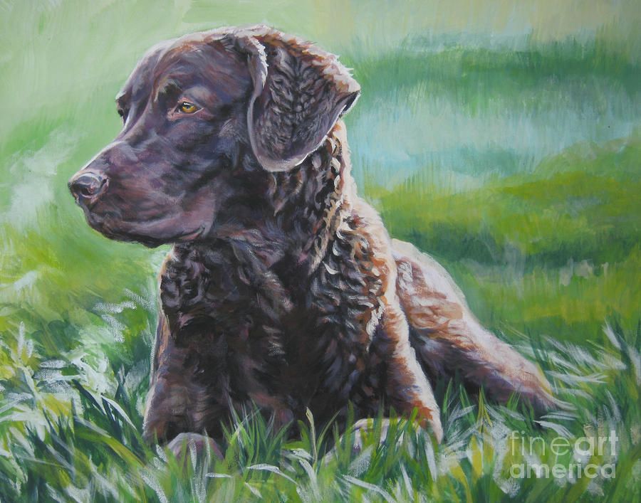 900x707 Chesapeake Bay Retriever Painting - Chesapeake Bay Painting