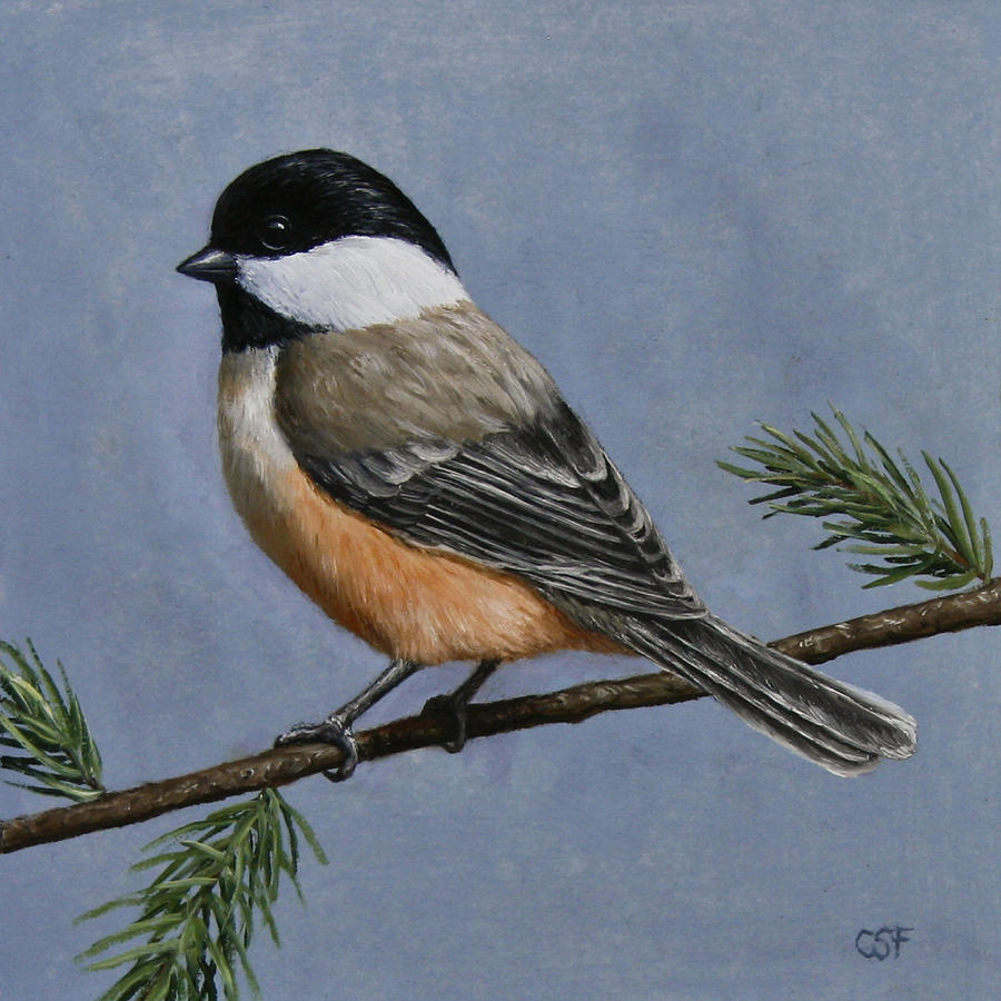 900x900 Chickadee Charm Painting By Crista Forest - Chickadee Painting