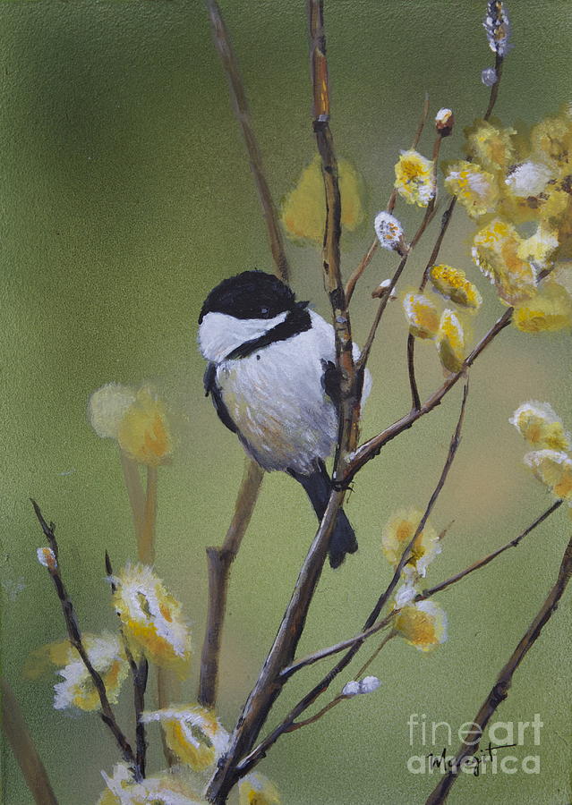 639x900 Chickadee Painting By Margit Sampogna - Chickadee Painting