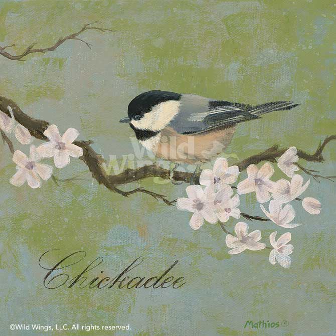 670x670 Chickadee Painting By Peter Mathios Wild Wings - Chickadee Painting