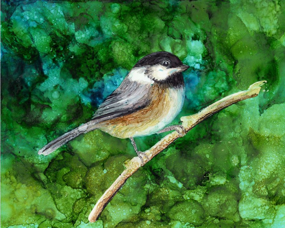 Chickadee Painting At Paintingvalley.com 