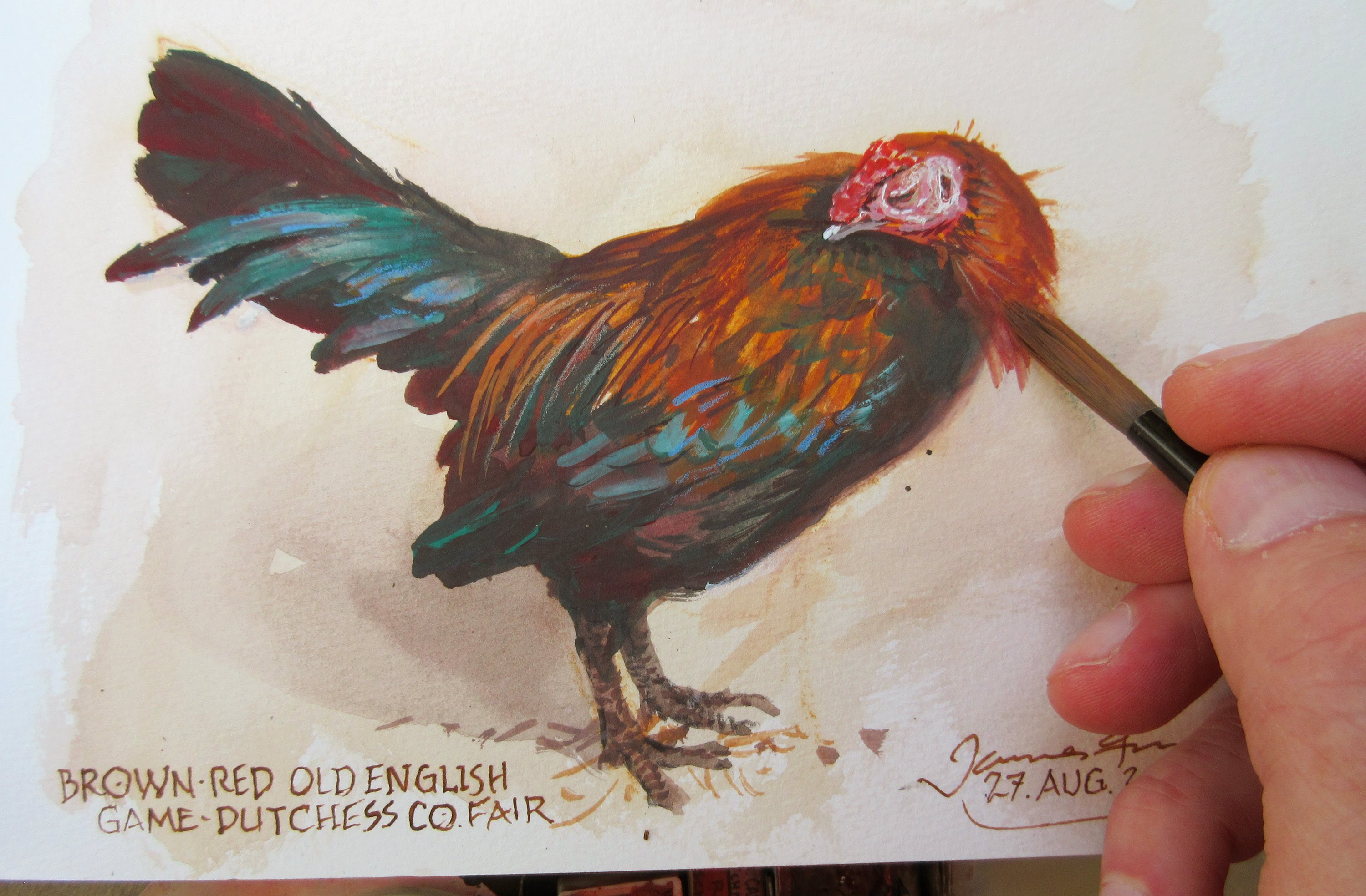 3000x1969 Painting A Chicken From Life (With Subtitles) - Chicken Painting