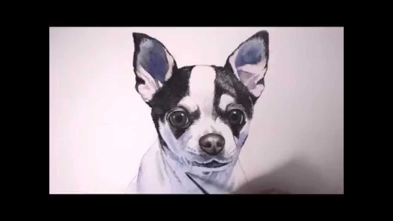 1280x720 Free To Watch In How I Paint Portrait Of A Dog, Chihuahua, Time - Chihuahua Painting