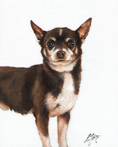 242x300 Original Oil Art Chihuahua Portrait Painting Dog Puppy Artist - Chihuahua Painting