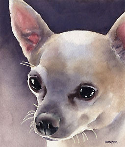 255x300 Chihuahua Painting Dog 8 X 10 Art Print Signed Djr Ebay - Chihuahua Painting