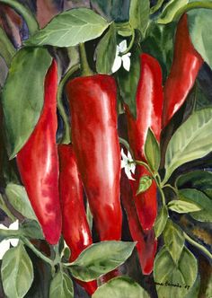 236x332 Green Chili Peppers On A Purple Plate - Chili Painting