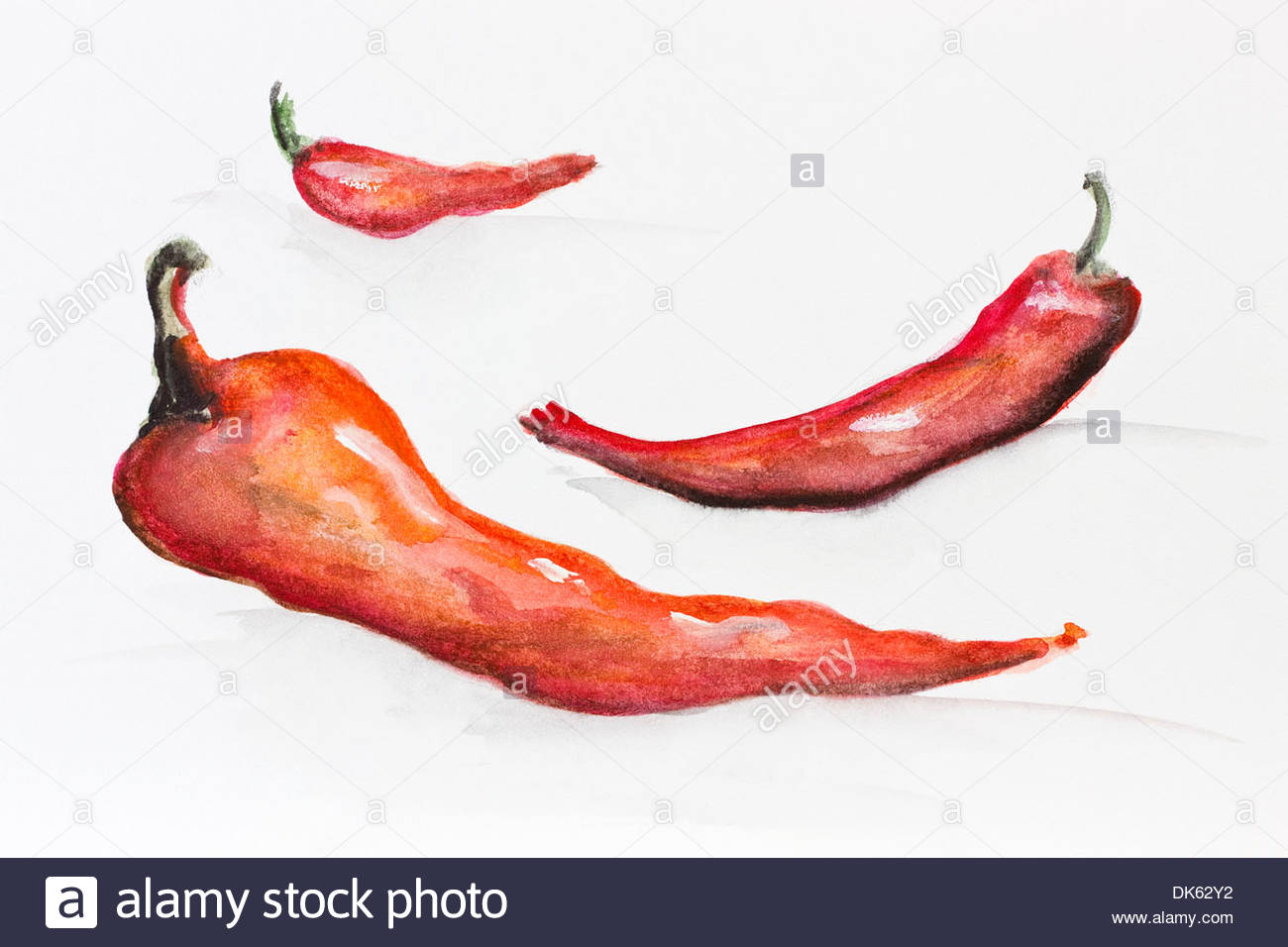 1300x956 The Perspective Of The Hot Chili Peppers. Handmade Watercolor - Chili Painting