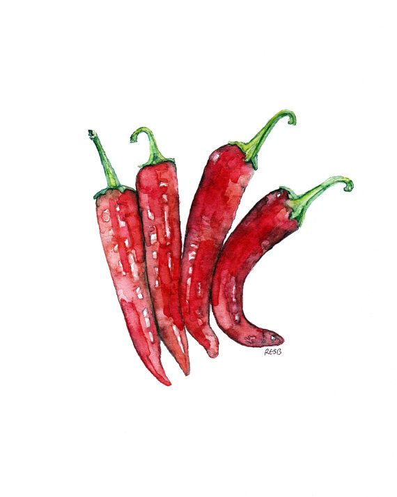 570x713 Hot Pepper Painting Print From Original Watercolor Painting Chili - Chili Pepper Painting