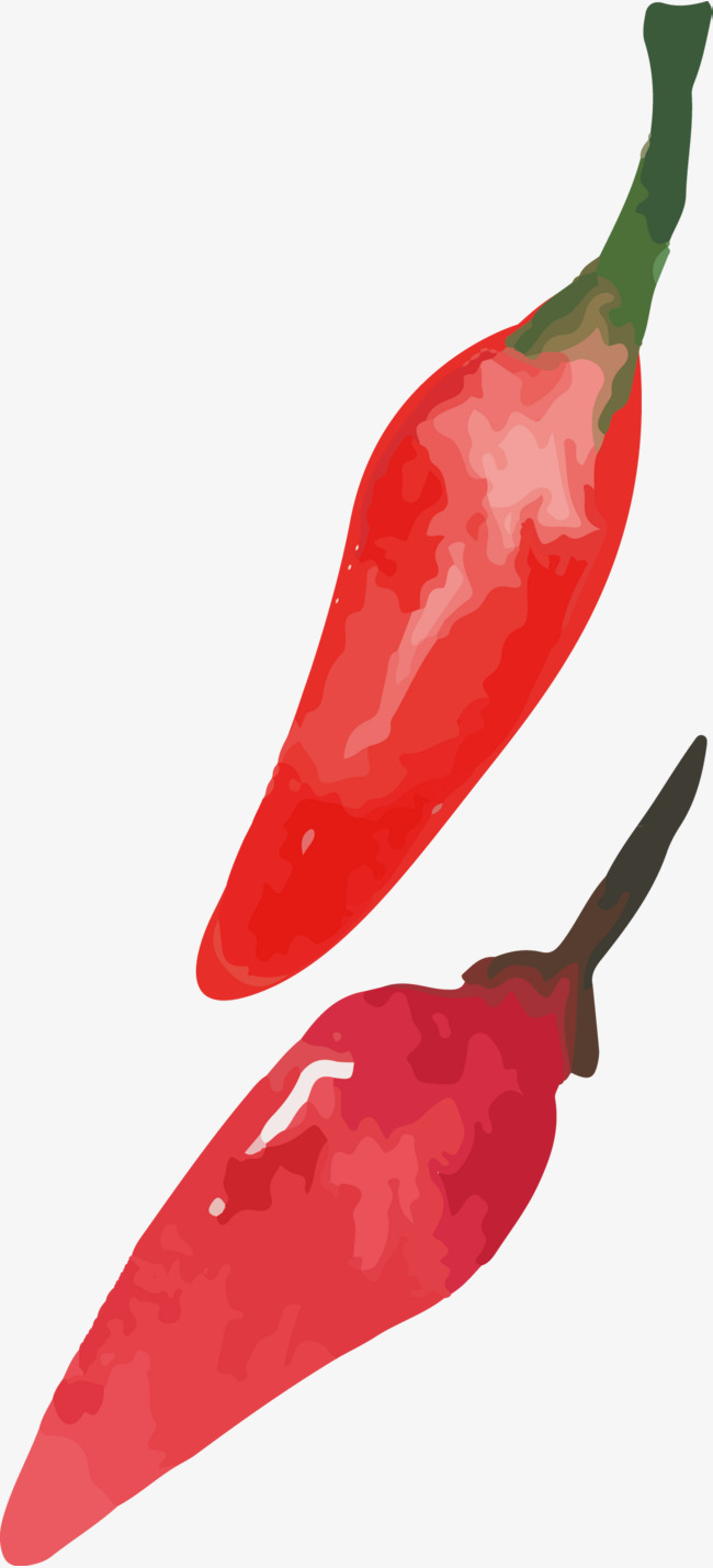 650x1429 Pepper Hand Painted Pattern, Chili, Pepper Hand Painted, Pattern - Chili Pepper Painting