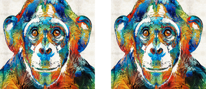 700x304 Colorful Chimp Art - Chimp Painting