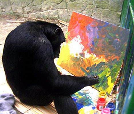 468x401 Picture Painting Chimp Earns Fame, But Not Freedom Treehugger - Chimp Painting