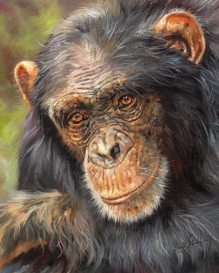 721x900 Wise Eyes Painting By David Stribbling - Chimp Painting