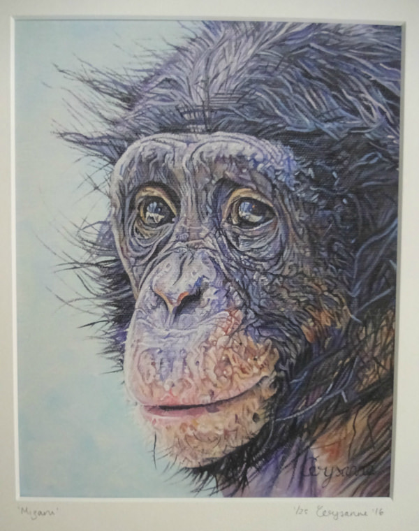 600x760 Mizaru - Chimpanzee Painting