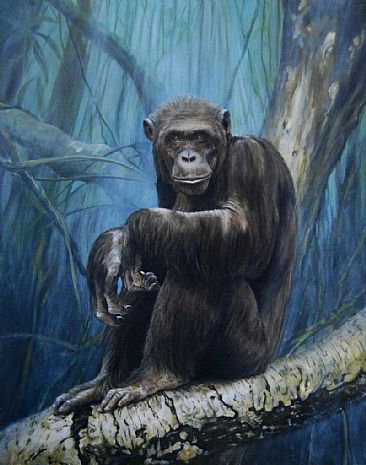 366x465 Portrait Of A Chimpanzee - Chimpanzee Painting