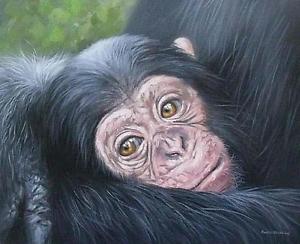 300x244 Rachel Stribbling Original Oil Painting Of A Young Chimpanzee - Chimpanzee Painting