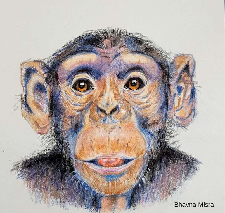 770x732 Saatchi Art For Pastel Painting Of Chimpanzee By - Chimpanzee Painting