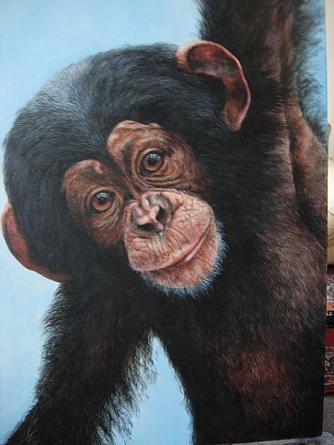 366x488 Chimpanzee - Chimpanzee Painting