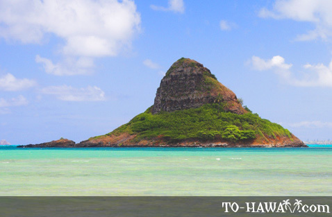 478x313 Chinaman's Hat On Oahu, Hawaii - Chinamans Hat Painting