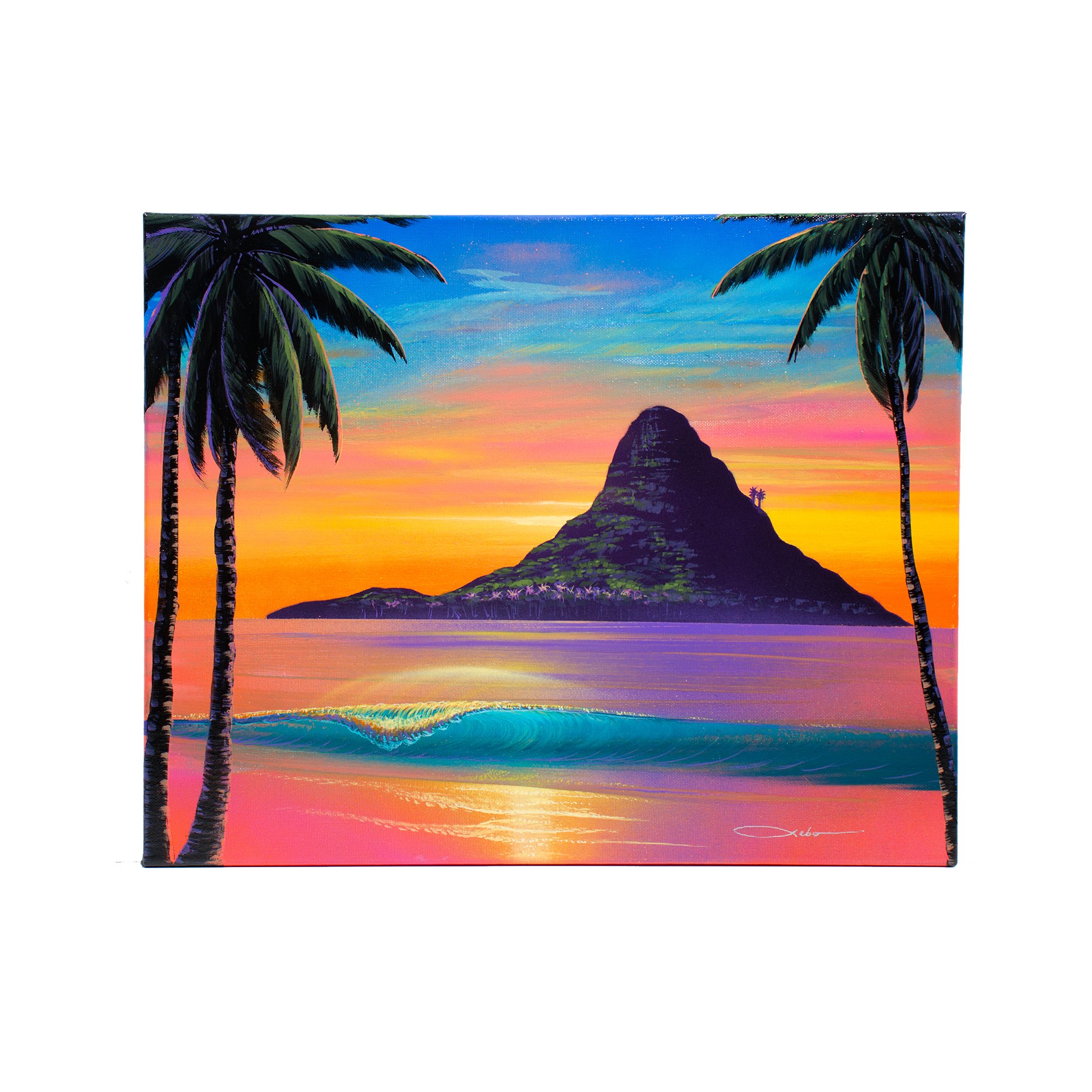 1990x1990 Beauty Of Chinaman's Hat Original Painting On 16 X 20 Canvas - Chinamans Hat Painting
