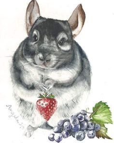 236x295 Chinchilla Painting By Veronica Minozzi Animals In Art 2 - Chinchilla Painting