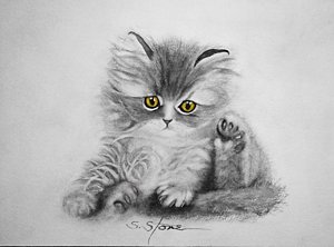 300x222 Chinchilla Paintings Fine Art America - Chinchilla Painting