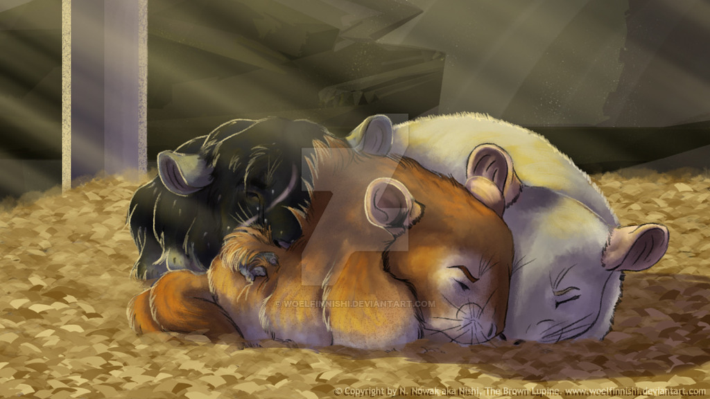 1024x576 Chinchilla Pile By Woelfinnishi - Chinchilla Painting