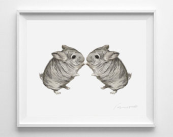 340x270 Chinchilla Painting Etsy - Chinchilla Painting