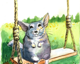 340x270 Chinchilla Print Art Etsy - Chinchilla Painting