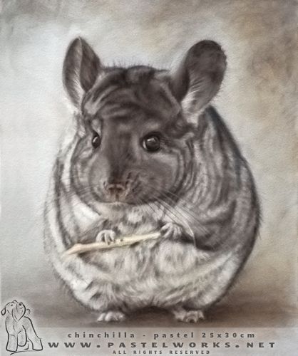 418x500 Pet Portraits Amp Animal Art - Chinchilla Painting