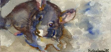 450x212 Stunning Chinchilla Painting Reproductions For Sale On Fine Art - Chinchilla Painting